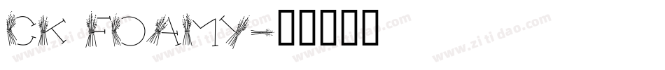CK Foamy字体转换